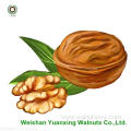 Walnut Kernels light amber halves(LAH) for Great Taste